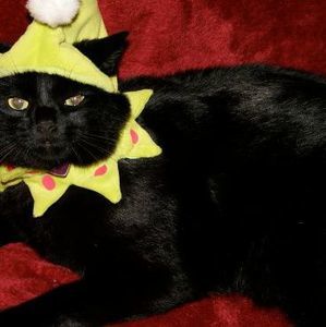 Meet your Posher, Cathy